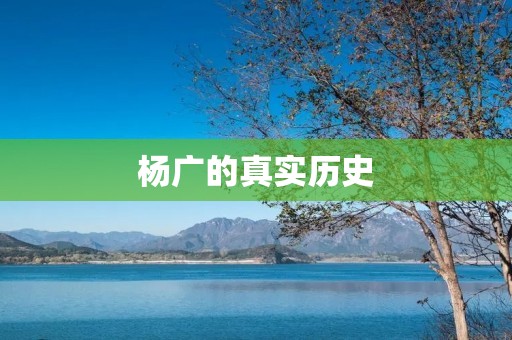 杨广的真实历史:才华横溢的唐朝皇帝
