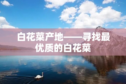 白花菜产地——寻找最优质的白花菜