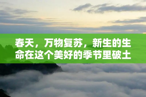 春天，万物复苏，新生的生命在这个美好的季节里破土而出，带来了一片生机勃勃的景象。在这个充满活力的季节里，我也有了许多感悟和收获。