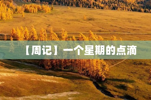 【周记】一个星期的点滴