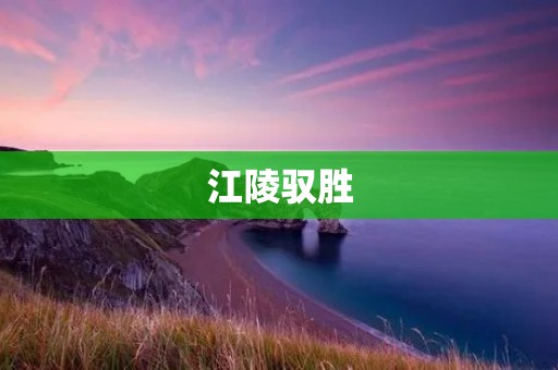 江陵驭胜:一款实力派SUV 江陵驭胜:一款实力派SUV
