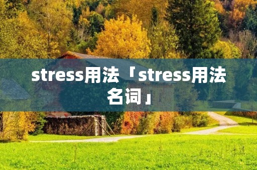 stress用法「stress用法名词」