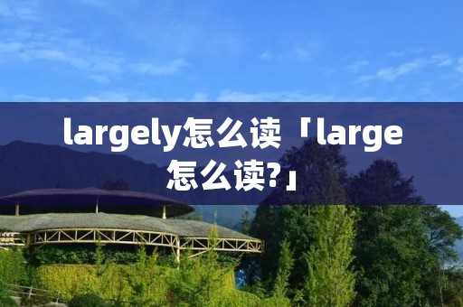 largely怎么读「large怎么读?」
