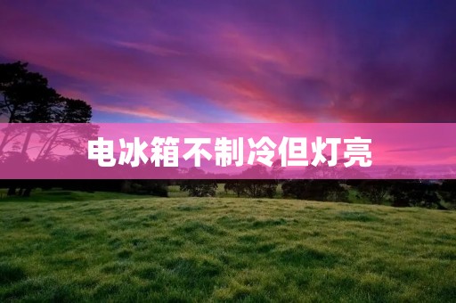 电冰箱不制冷但灯亮：如何解决？
