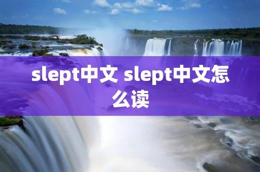 slept中文 slept中文怎么读