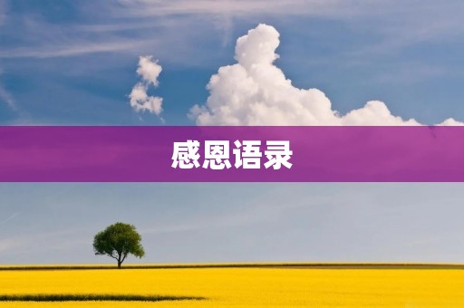 感恩语录:让我们学会感恩,拥有更美好的人生 感恩语录:让我们学会感恩,拥有更美好的人生