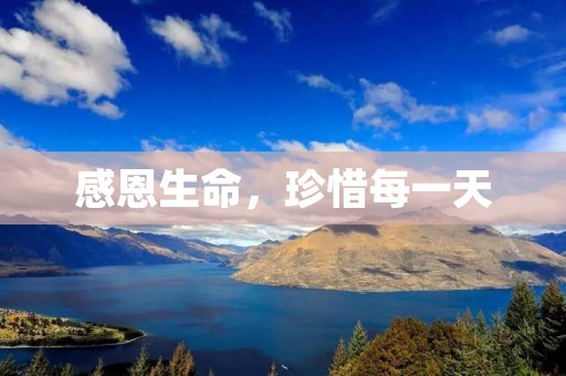 感恩生命,珍惜每一天 感恩生命,珍惜每一天