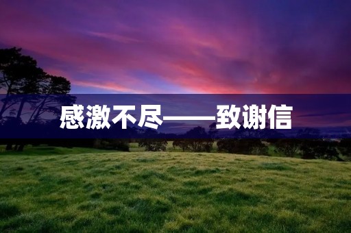 感激不尽——致谢信