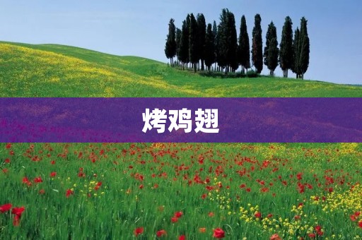 烤鸡翅:用熏烤方式做法详解 烤鸡翅:用熏烤方式做法详解