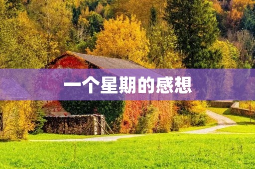 一个星期的感想 一个星期的感想