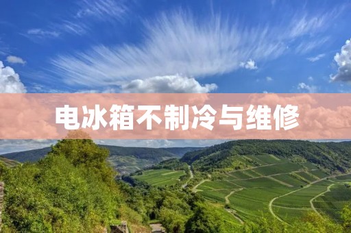电冰箱不制冷与维修 电冰箱不制冷与维修
