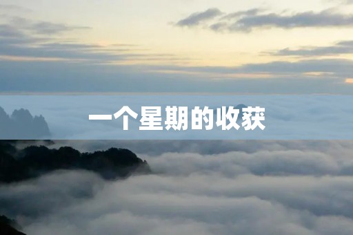 一个星期的收获 一个星期的收获