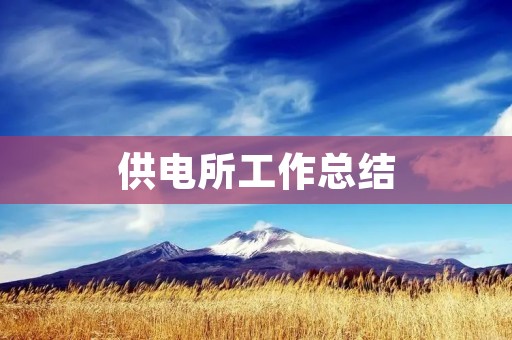 供电所工作总结