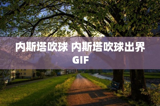 内斯塔吹球 内斯塔吹球出界GIF