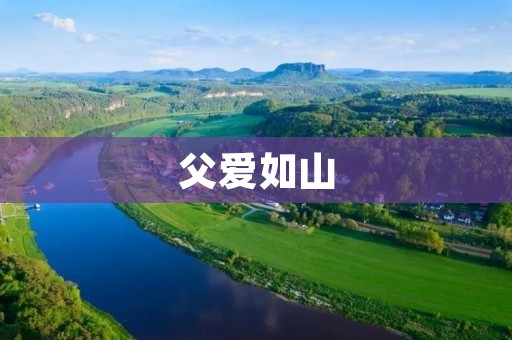 父爱如山：一位爸爸的感人故事