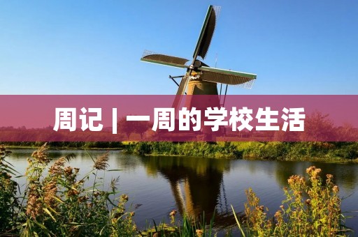 周记 | 一周的学校生活
