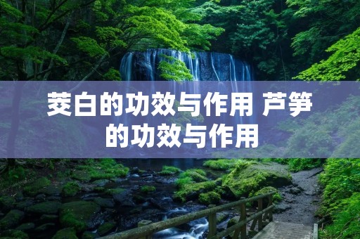 茭白的功效与作用 芦笋的功效与作用