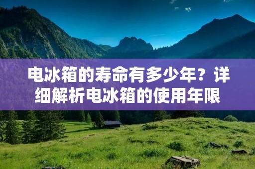 电冰箱的寿命有多少年？详细解析电冰箱的使用年限