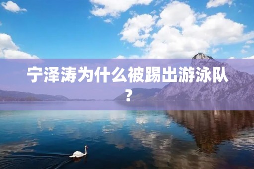 宁泽涛为什么被踢出游泳队？