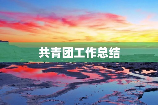 共青团工作总结:积极服务青年群体