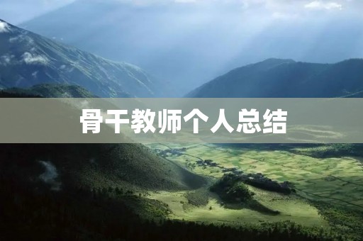 骨干教师个人总结