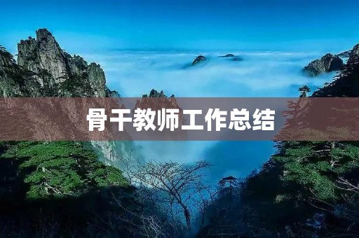 骨干教师工作总结