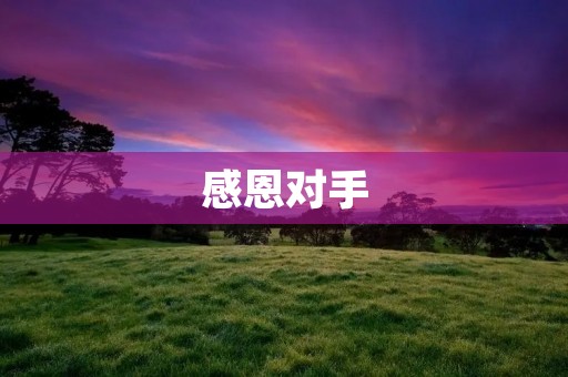 感恩对手:成就自我,拓宽视野 感恩对手:成就自我,拓宽视野