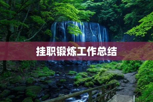 挂职锻炼工作总结