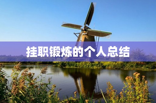 挂职锻炼的个人总结