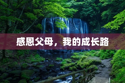 感恩父母,我的成长路 感恩父母,我的成长路