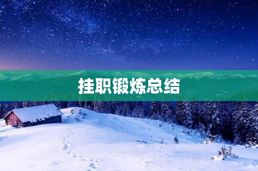 挂职锻炼总结:从实践中成长 挂职锻炼总结:从实践中成长