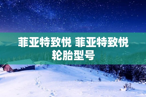 菲亚特致悦 菲亚特致悦轮胎型号
