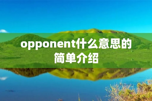 opponent什么意思的简单介绍 opponent什么意思的简单介绍