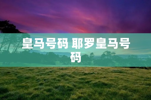 皇马号码 耶罗皇马号码
