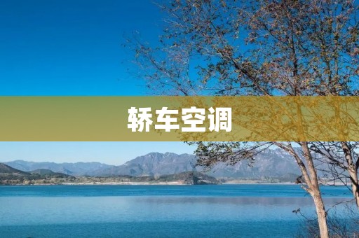 轿车空调:为你打造舒适出行 轿车空调:为你打造舒适出行