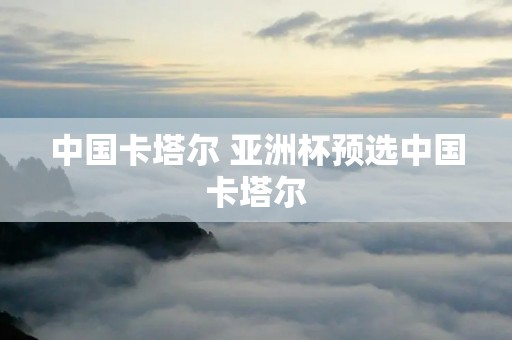 中国卡塔尔 亚洲杯预选中国卡塔尔