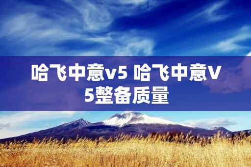 哈飞中意v5 哈飞中意V5整备质量