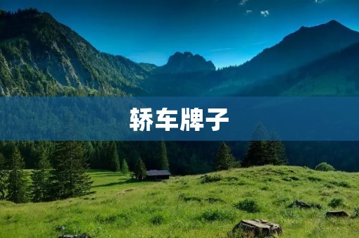 轿车牌子：如何选择适合自己的品牌？