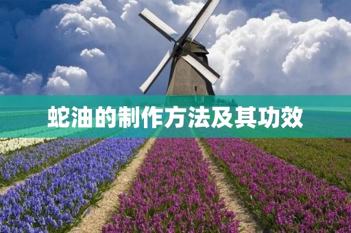 蛇油的制作方法及其功效