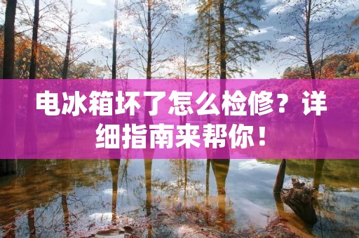 电冰箱坏了怎么检修？详细指南来帮你！