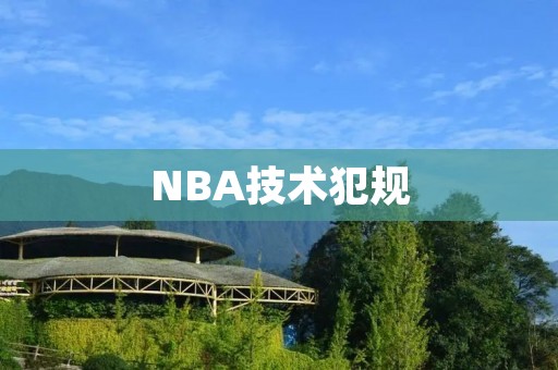 NBA技术犯规：技术犯规的定义、规则和影响