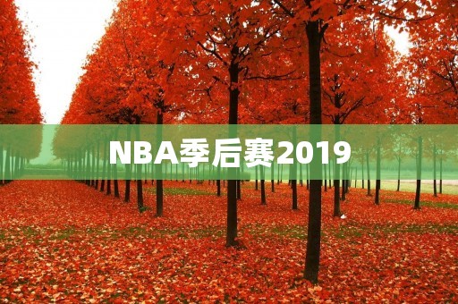 NBA季后赛2019：历史性的瞬间与激烈的角逐