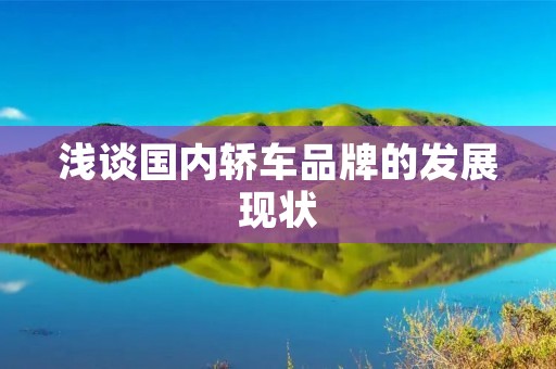 浅谈国内轿车品牌的发展现状 浅谈国内轿车品牌的发展现状