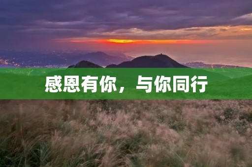 感恩有你，与你同行
