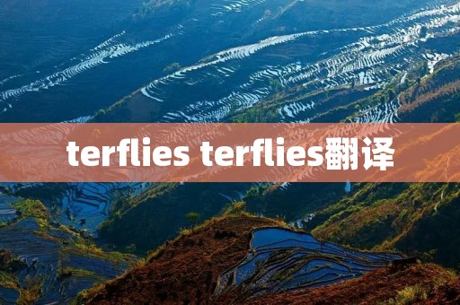 terflies terflies翻译
