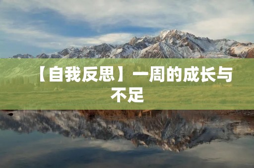 【自我反思】一周的成长与不足