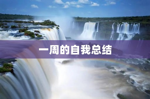 一周的自我总结