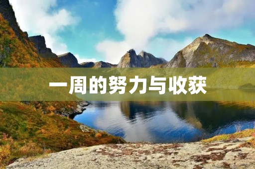 一周的努力与收获