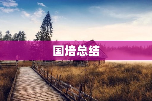 国培总结:职业生涯规划与发展