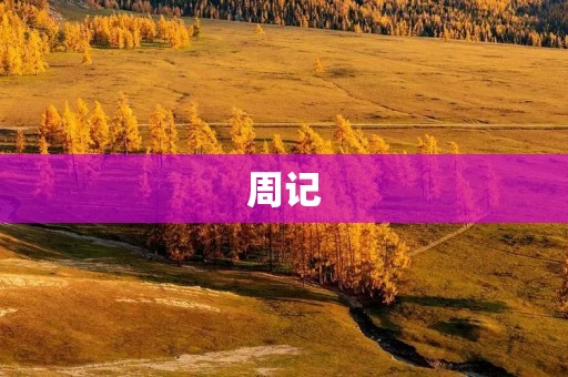 周记：学习与生活
